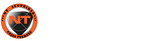 NT Seguridad